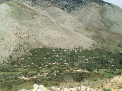 20101020_003