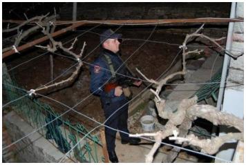 Νεκρός Βορειοηπειρώτης από Αλβανούς ληστές στο Αργυρόκαστρο!