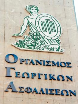 Παρατάθηκαν για άλλον έναν μήνα, απ τον ΟΓΑ, τα βιβλιάρια υγείας των υπερηλίκων Βορειοηπειρωτών Παρατάθηκαν για άλλον έναν μήνα, απ τον ΟΓΑ, τα βιβλιάρια υγείας των υπερηλίκων Βορειοηπειρωτών