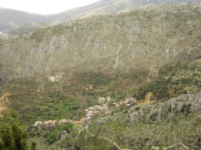 haliopouli